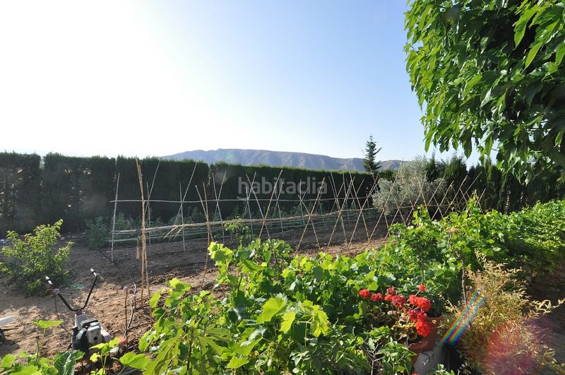 Foto 48544fe7-e53f-41b0-b20a-6b0aef02ecd5. Chalet en La Paz Villena