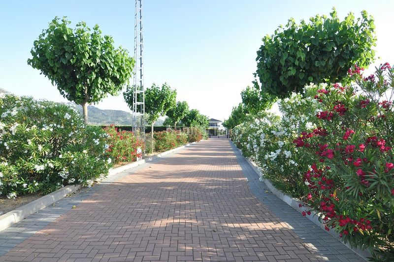 Foto 94748674-6a4a-4d9a-92ce-93d44806a035. Chalet en La Paz Villena