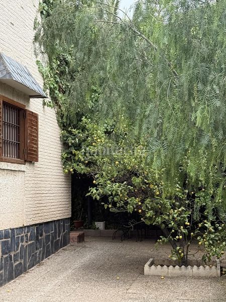 Foto b4e3f54d-f946-498b-8f37-43998288312e. Chalet in Centro Elda