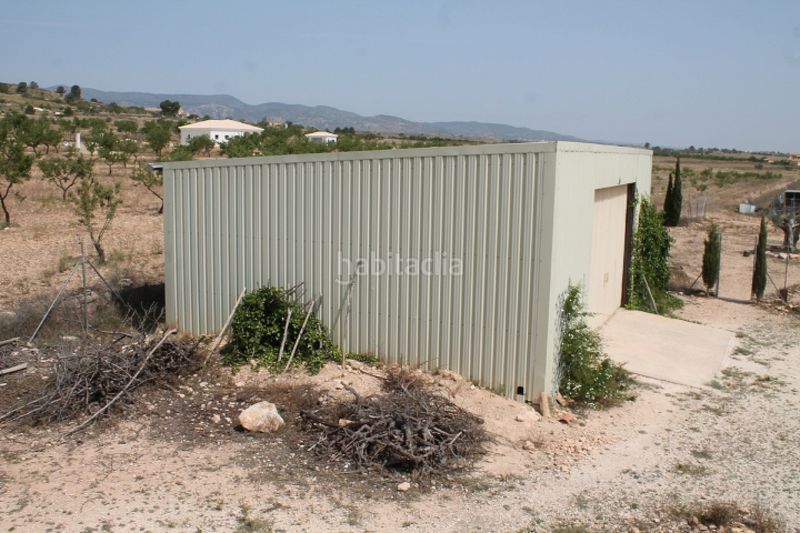 Foto 3a0ca5dd-d61a-44ec-bcff-34645bd7eed8. Mas dans Pinoso