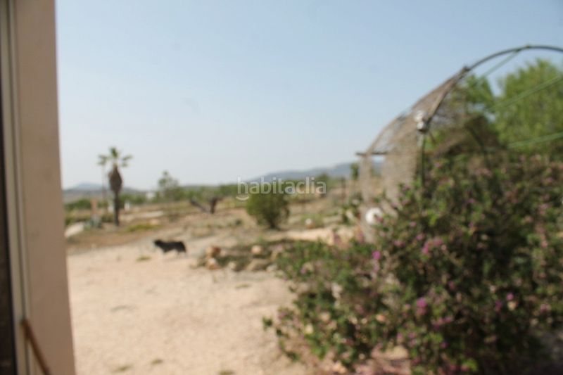 Foto 54cb3410-523c-4b37-a210-d8fe348f3e01. Mas dans Pinoso