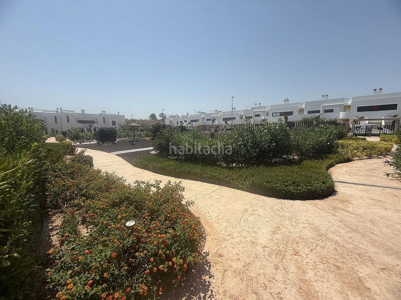 Foto 2efdf847-1269-42b4-a790-837c243fe439. Apartament a Montesinos (Los)