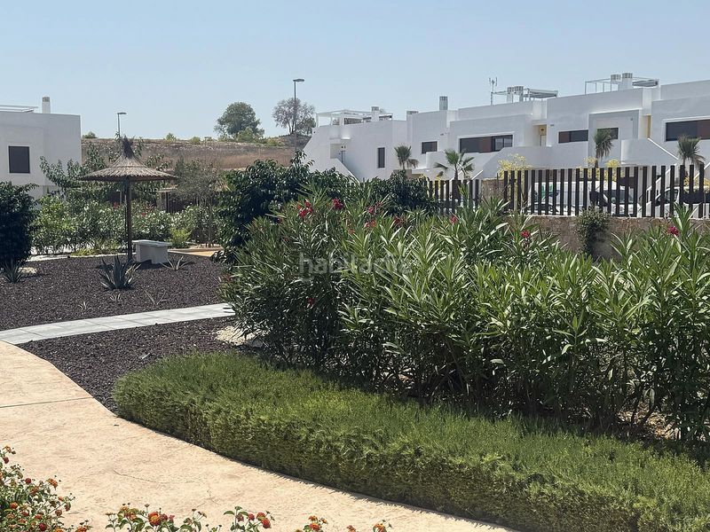 Foto afb33d7e-1dea-41f6-aa02-3fe4d3d29a99. Apartament a Montesinos (Los)
