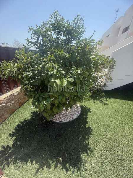 Foto f65ddab2-c43d-49eb-811d-01554d901271. Apartament a Montesinos (Los)