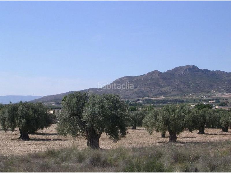 Foto 3c1fa79e-0b21-4482-a71c-efeb9d2c78be. Finca rústica en Las Tiesas Villena