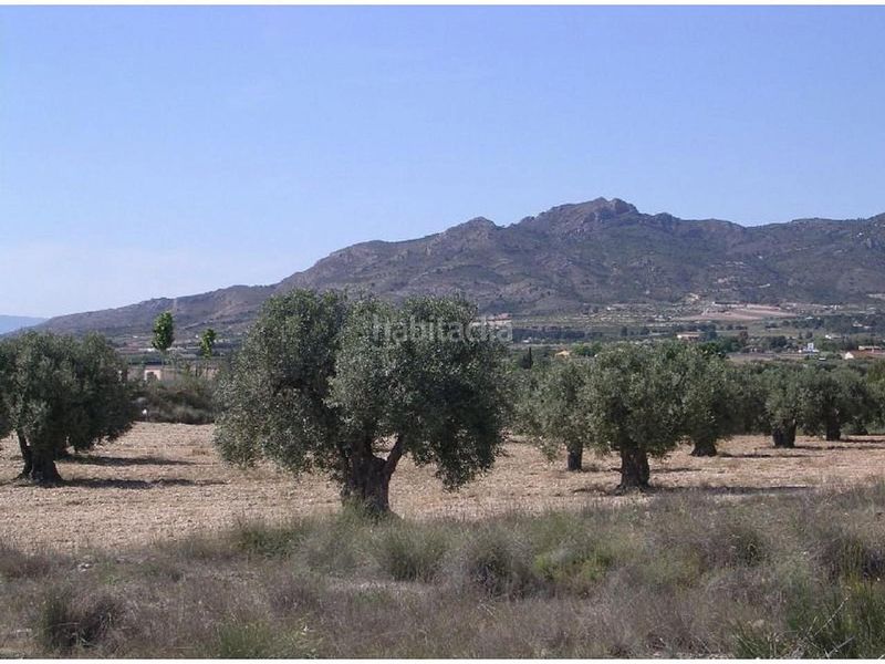 Foto a67e4022-0768-4fb7-850f-cef3fec6016b. Finca rústica en Las Tiesas Villena
