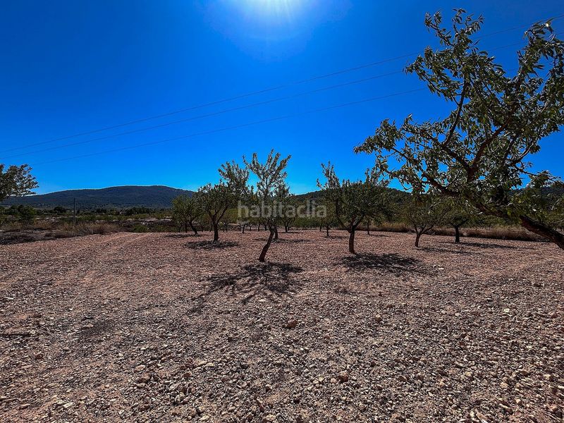 Foto abd531c3-0d1d-46cc-9c22-6a2d75791cc1. Casale in Monòver