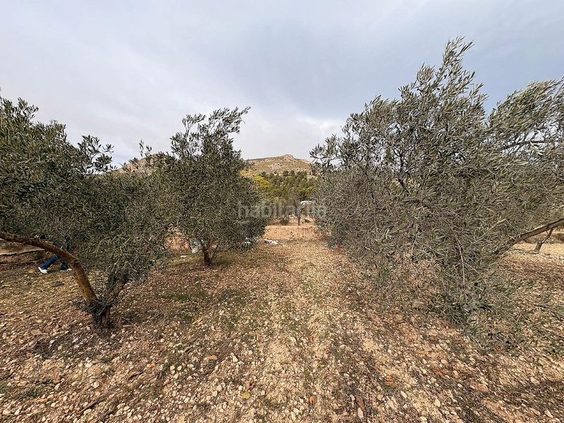 Foto 5776e353-7761-4bb2-8c8c-bbf2140b540f. Finca rústica en Onil