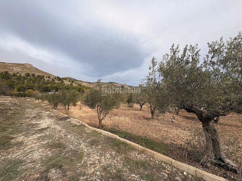 Foto 58d1dcc2-41b3-4b0b-8523-60355f414021. Finca rústica en Onil