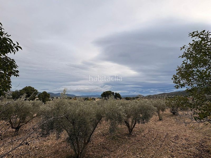 Foto 9a691247-6c4a-4c9c-9d83-fc04e39bf603. Finca rústica en Onil