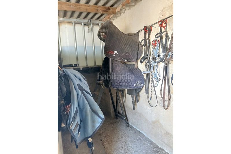 Foto 70a101ef-4997-4709-8ee8-9624bf5bf782. Casale in Monòver