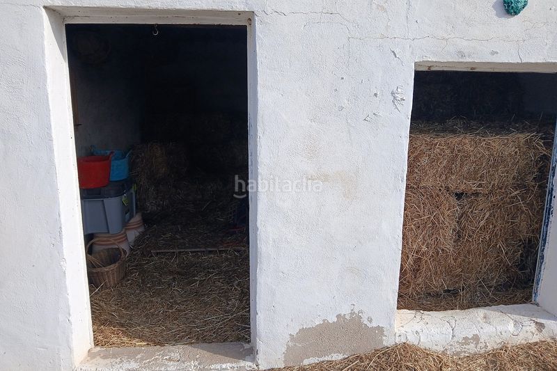 Foto b9819464-a7b6-4c72-bab6-406de632b54f. Casale in Monòver