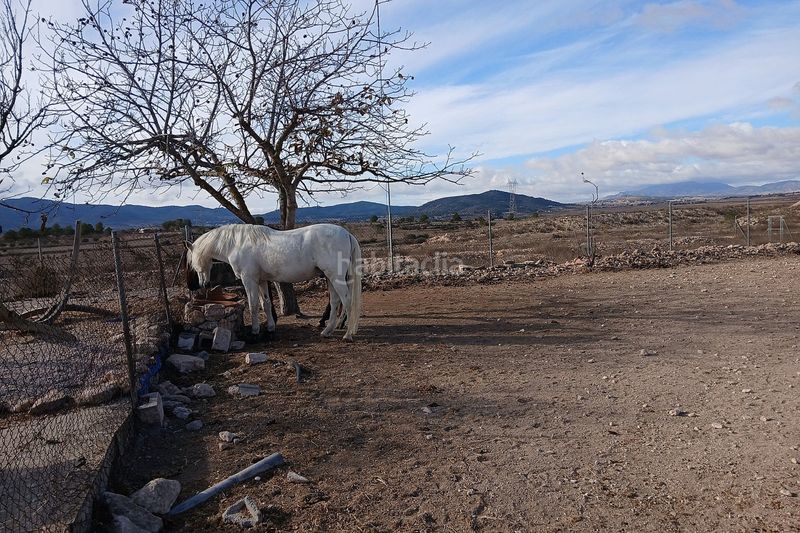 Foto bcead9e5-28a0-4c86-8406-fb701621fd4e. Casale in Monòver