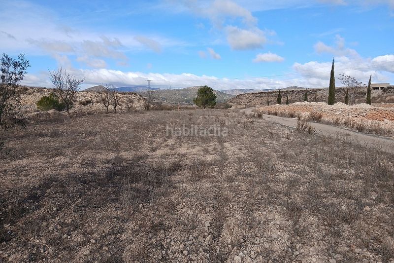 Foto d0d5699c-6e34-44cf-bebe-d6fe9af17776. Casale in Monòver