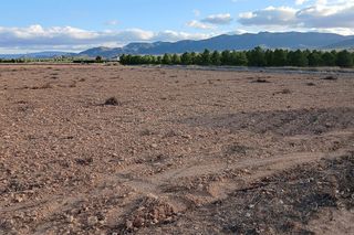 Fondo rustico in Yecla
