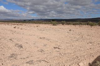 Rural plot in Yecla