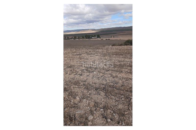 Foto 5871061d-1114-4aa8-b127-8145012aef9d. Finca rústica a Yecla