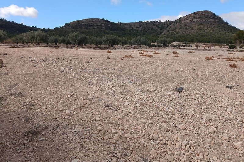 Foto b52b90cc-a771-410e-841d-7af55a7ef3d3. Finca rústica a Yecla