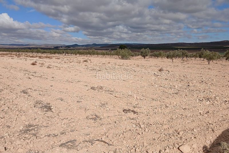 Foto b9bba2e4-7477-46d1-98c8-3716c68e3d60. Finca rústica a Yecla