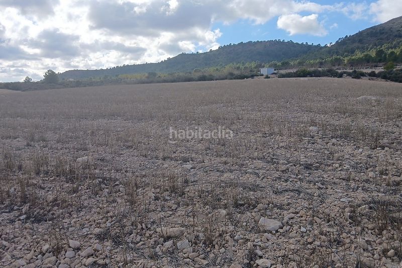 Foto be43749f-a737-4c51-af90-55acb241dc9d. Finca rústica a Yecla