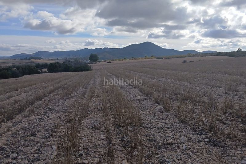 Foto c5e08ab9-a5d5-4d0d-8b66-9afbe1cb2cf3. Finca rústica a Yecla