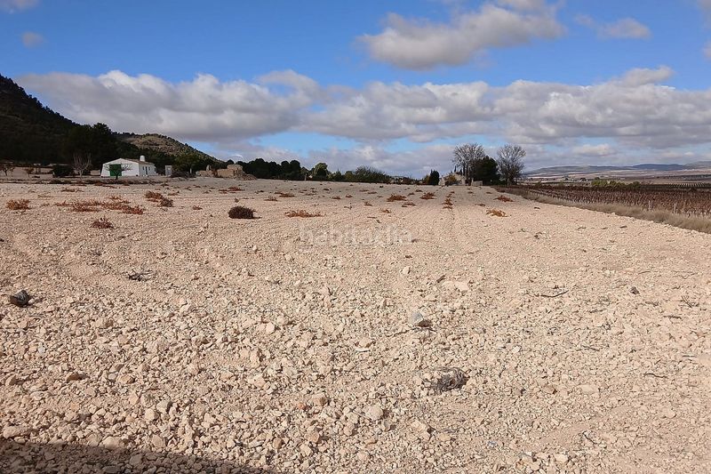 Foto ce92b95a-3232-4ada-b1eb-36b8c1b733db. Finca rústica a Yecla