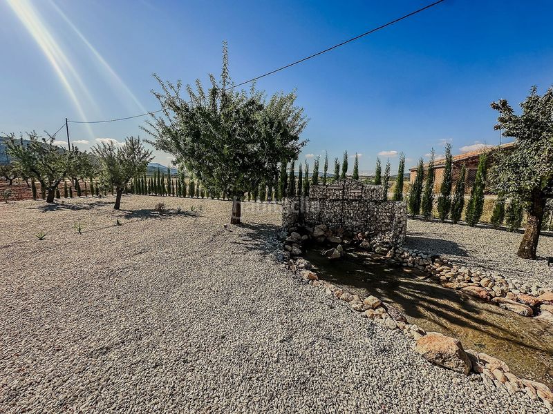 Foto ee6ffb9a-39ce-4ae5-bee9-5205f678dc0d. Chalet en Pinoso