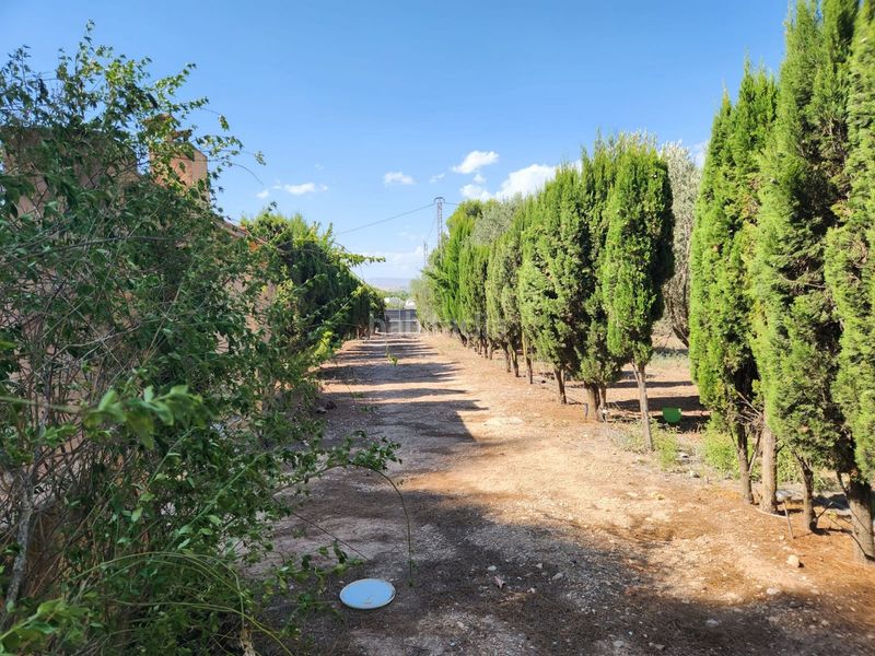Foto cee7ec78-01f4-4a90-a3f0-625cee2d0348. Chalet en Las Virtudes Villena