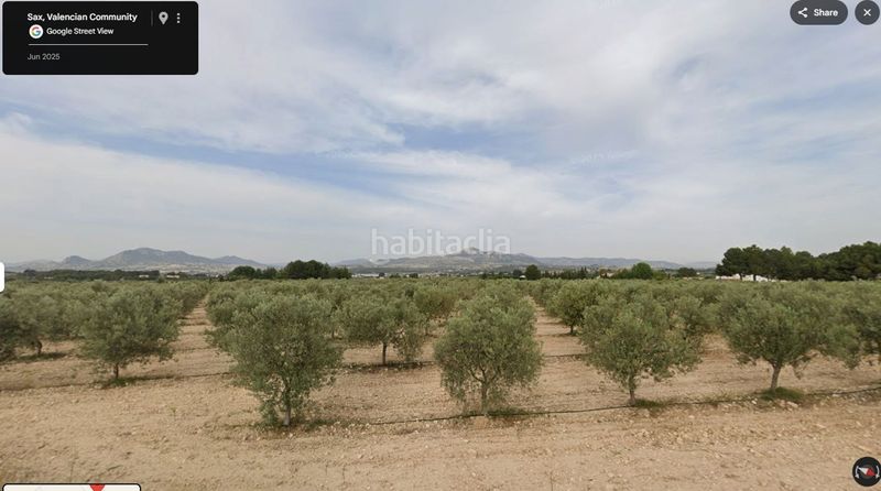 Foto 5e1ef736-8d0f-4fc9-bfb3-183e96b016e8. Finca rústica en Sax