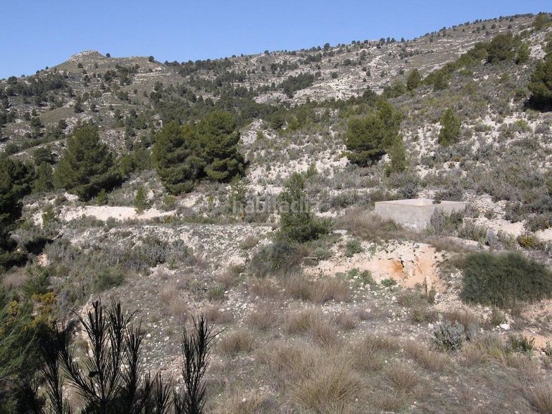 Foto d110d9cb-4e82-48ce-b82e-fe368d8a3caa. Xalet a Petrer