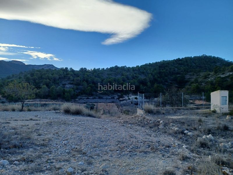 Foto c8391141-01e3-4ac0-81fa-f38170e1e26b. Casale in Jumilla
