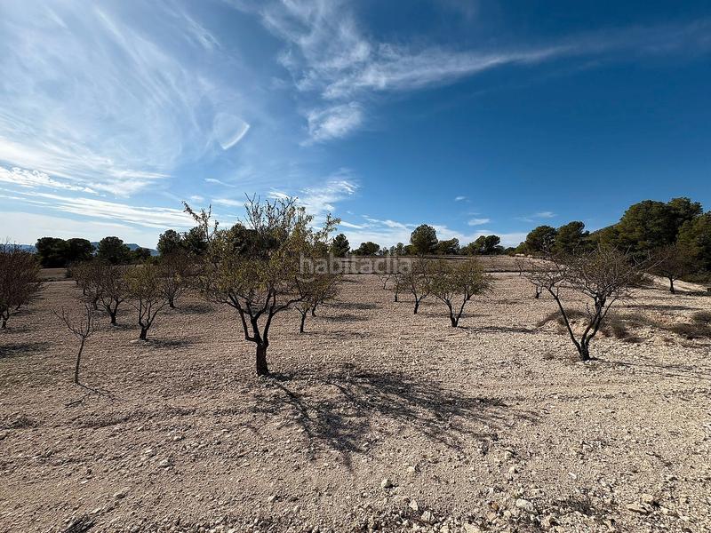 Foto b493f653-574e-4f52-ab43-e0ac81069b24. Chalet increíble casa de campo reformada con piscina en Sax
