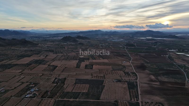 Foto 5c6a043e-767a-47c1-a3dd-61bcc552fc03. Finca rústica a Jumilla