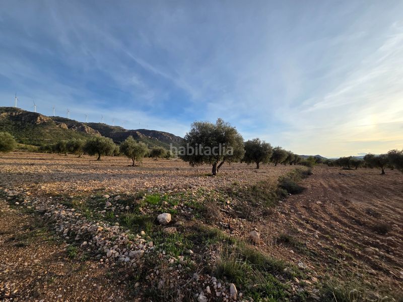Foto 70fb877b-6ddd-4737-9baa-3f625d109e44. Finca rústica a Jumilla