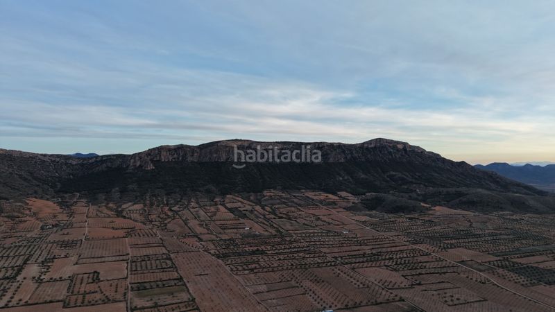 Foto 8b1cb214-3108-43d7-9387-04f8a15793b7. Finca rústica a Jumilla