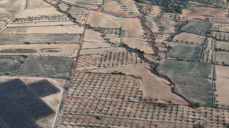 Foto a24757ba-0b4d-4319-b42f-f1321e937e11. Finca rústica a Jumilla