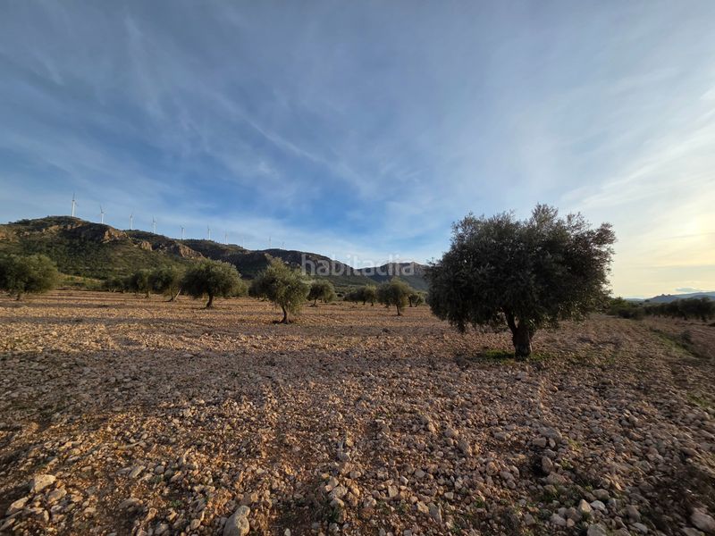 Foto a5be30e0-5ce5-417b-a362-f5b662f3e047. Finca rústica a Jumilla