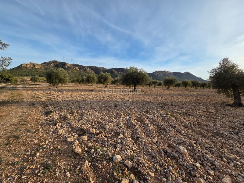Foto b3a8b04e-4f70-47f7-955f-f4c30fd667a6. Finca rústica a Jumilla