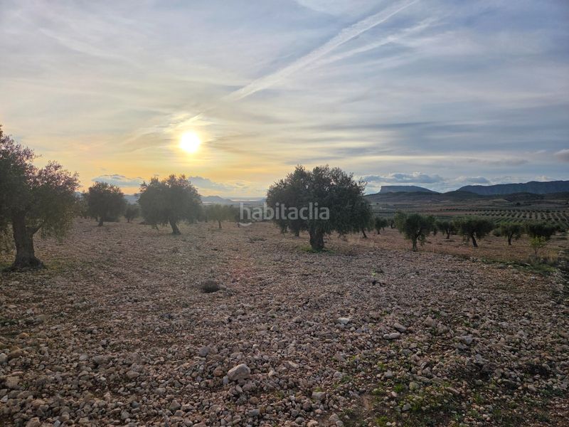 Foto e8bb9fa2-a25e-4ae5-935f-a01abdfabc62. Finca rústica a Jumilla