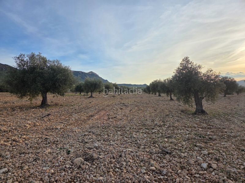 Foto f3e57ca7-d8b4-4387-ac4d-ad6ce775a01b. Finca rústica a Jumilla