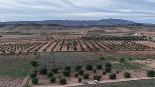 Rural plot in Jumilla