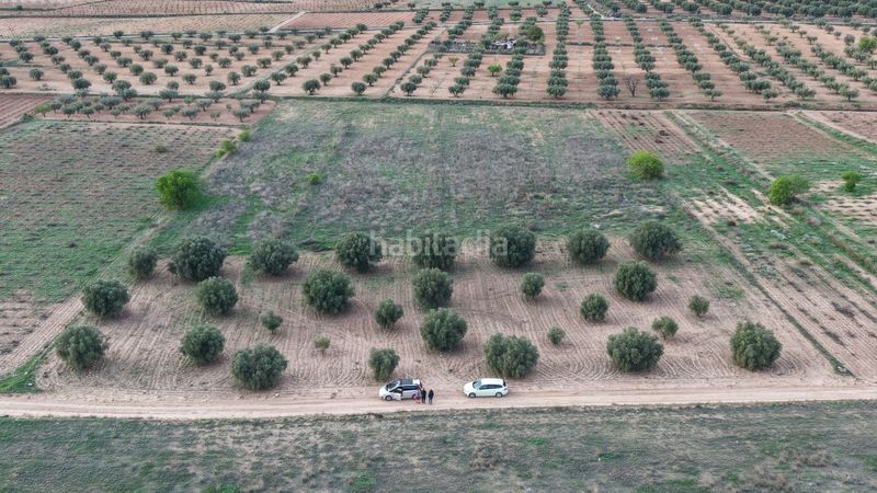 Foto a2db048e-02de-49c1-ad14-863e94cef755. Finca rústica a Jumilla