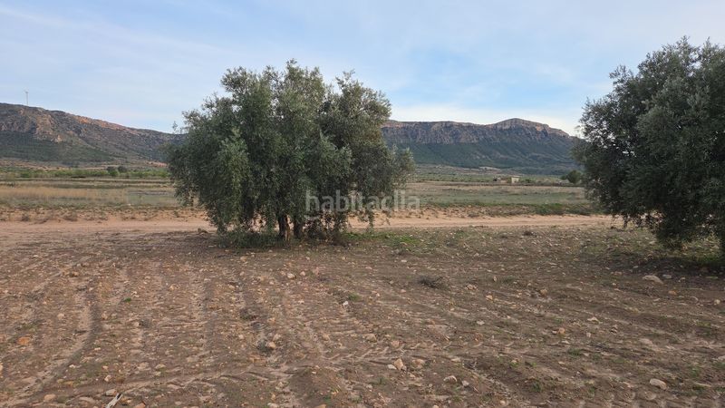 Foto a67cf841-ee44-4184-929c-7c879c7d03b7. Finca rústica a Jumilla