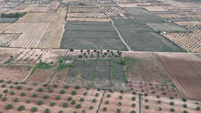 Foto b2bb75b7-9038-484e-8466-b3c0033fa59d. Finca rústica a Jumilla