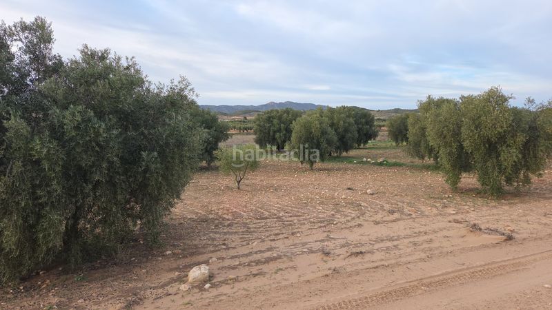 Foto b5b16e0a-35ff-44a6-9003-35adbe0985c7. Finca rústica a Jumilla