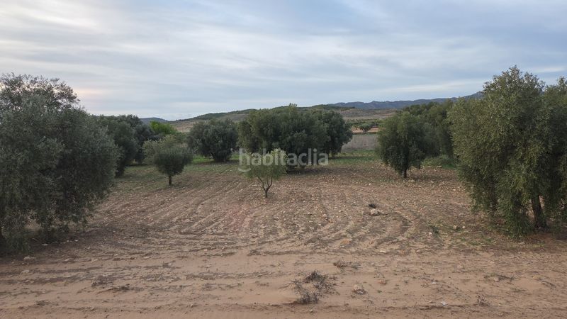 Foto e42d3a95-c163-45bc-9973-1d72ffd99196. Finca rústica a Jumilla