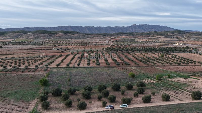Foto e855c92f-ce18-4e2d-9013-3b8c9b762bf1. Finca rústica a Jumilla