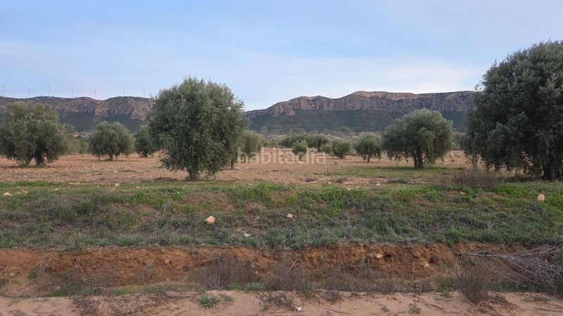 Foto 1a3aaf53-9b44-4bb8-9acd-ecf13bc8ee2b. Finca rústica a Jumilla