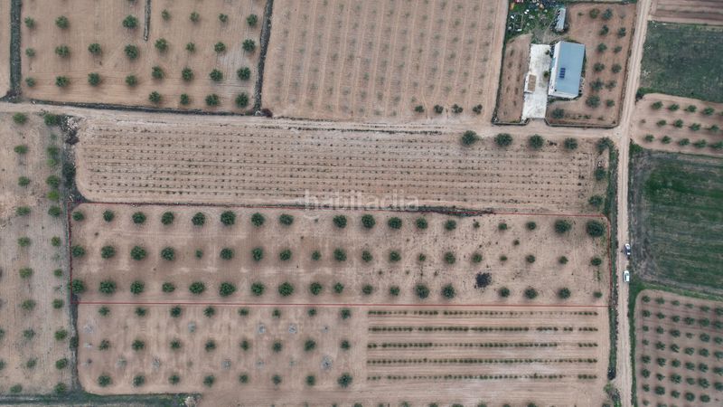 Foto 3ed12294-9a05-4a08-ba36-786aa3e421da. Finca rústica a Jumilla