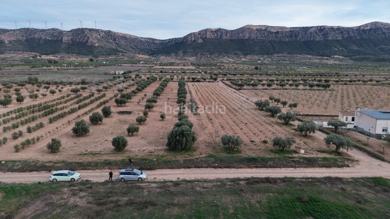 Foto 64dbf024-22d8-4404-bf5c-eb1d30072e53. Finca rústica a Jumilla